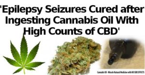 Epilepsy Seizures Cured after ingesting CBD oil/